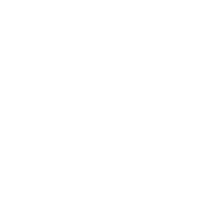 Logo NAE - Nail Art Extreme